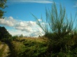 Country Escape Wallpaer