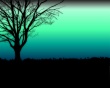 Peace Wallpaer