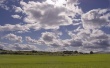 Grass HD Wallpaer