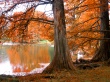 Pacific Lake Wallpaer