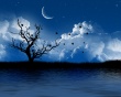 Late At Night Wallpaer