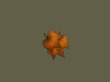 Autumn Wallpaer