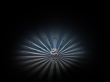 Drakon Wallpaer