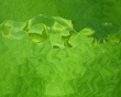 Green Blur Wallpaer