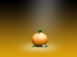 Orange Wallpaer