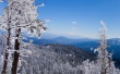 Winter Shot Wallpaer