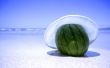 Sun-Hat Wallpaer