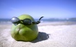 Sun Glasses Wallpaer
