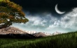 Beyond the Field Wallpaer