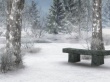 Winter Background Wallpaer