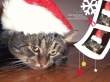 Grumpy Santa Wallpaer
