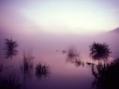 Lake in the Morning Wallpaer
