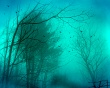 Mist Wallpaer