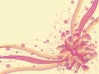 Orchid Orchestra Wallpaer