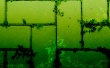 CSSCreme Walls Wallpaer