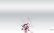 CSSCreme Flowers Wallpaer
