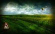 Vineyard Wallpaer