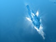 Flowing paradise Wallpaer