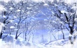 Frozen Park Wallpaer