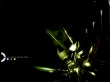 Anima Fusion Wallpaer