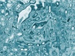 Clear Water Wallpaer