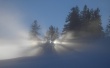 Winterzauber Wallpaer