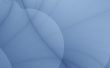 Blue Petals Wallpaer
