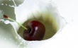 Cherry Milk Drop Wallpaer
