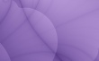 Violet Petal Wallpaer
