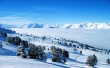White Lands Wallpaer