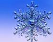 Winter Flake Wallpaer