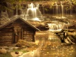Forest Creature Wallpaer