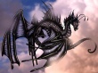 Fly for Peace Wallpaer