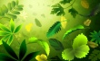 Green Leafs Wallpaer