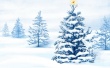 Wild Bedecked Wallpaer