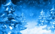 Ice Firs Wallpaer