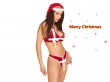 Bikini Santa Wallpaer