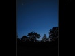 Moon sky and trees Wallpaer