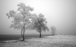Frozen Road Wallpaer