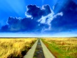 Road to Nowhere Wallpaer