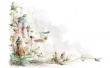 Fair Tale  Ilustration Wallpaer