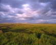 Holy Island Road Wallpaer