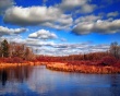 Red Dry Along River Wallpaer