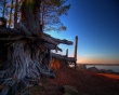 Bake Sunset Roots Wallpaer