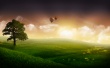 Balloon Ride III Wallpaer