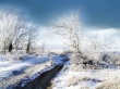 Winter in Terabithia Wallpaer