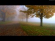 Fade to white Wallpaer
