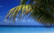Calm Beach Wallpaer