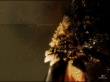 Thin Edge Wallpaer