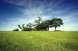 On the Plain Wallpaer